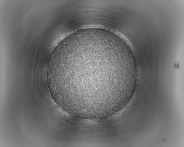 X0000093530937200710261248