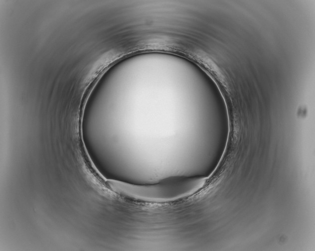 X0000093530938200710261248