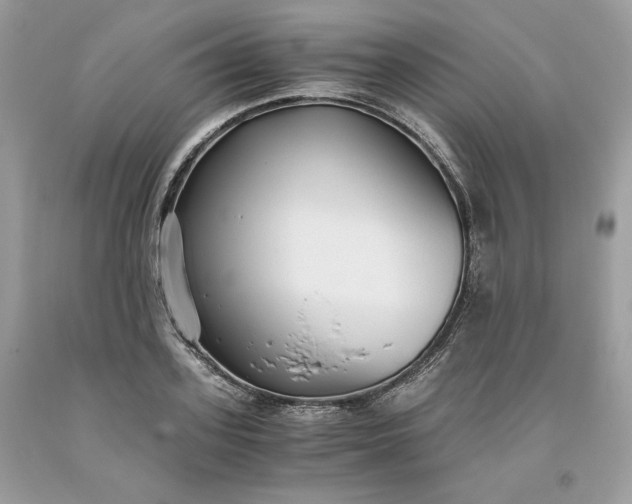 X0000093530939200710261248