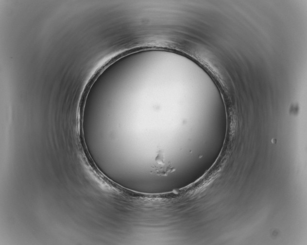 X0000093530940200710261248