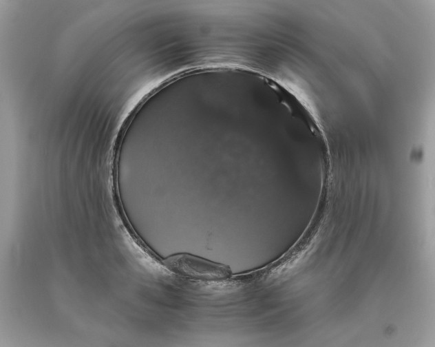 X0000093530941200710261248