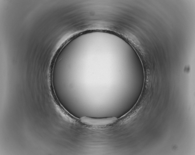 X0000093530942200710261248