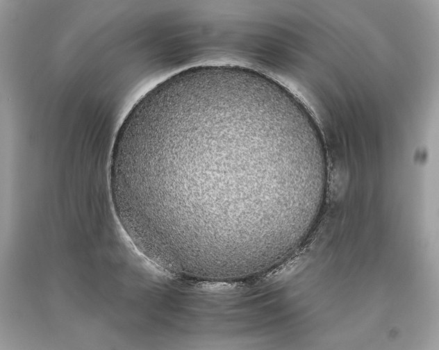 X0000093530943200710261248