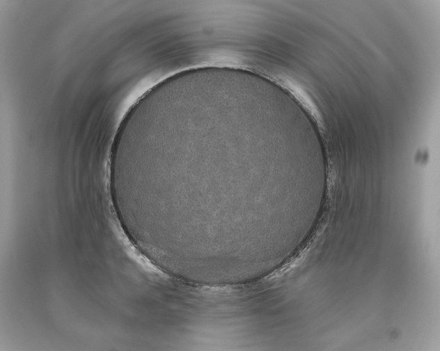 X0000093530944200710261248