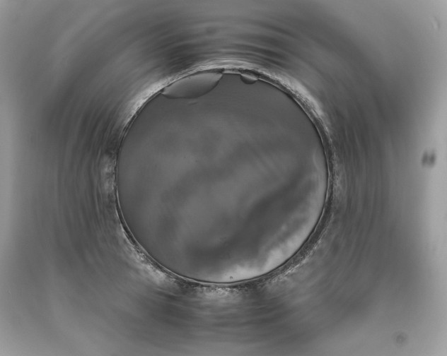 X0000093530945200710261248