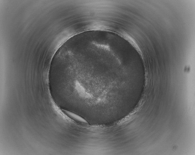 X0000093530946200710261248