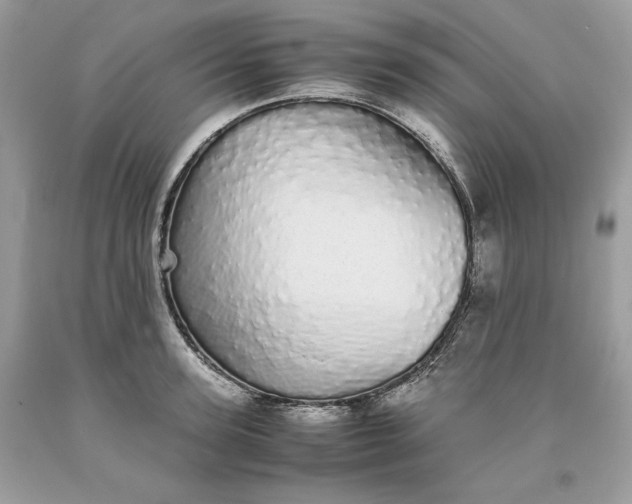 X0000093530947200710261248