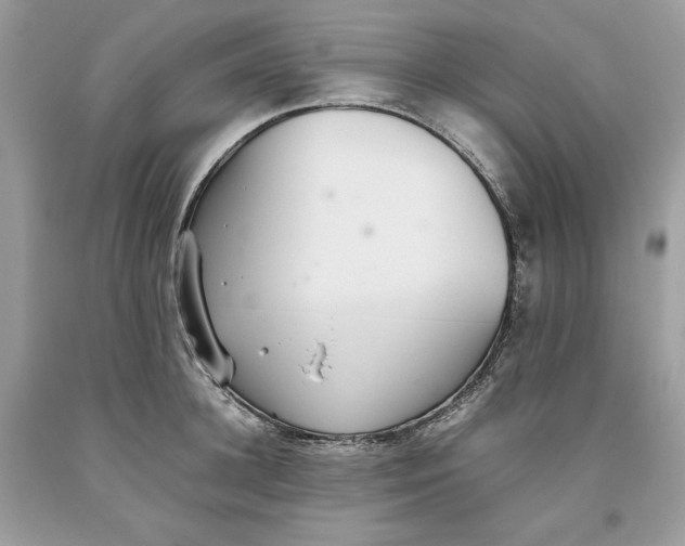 X0000093530948200710261248