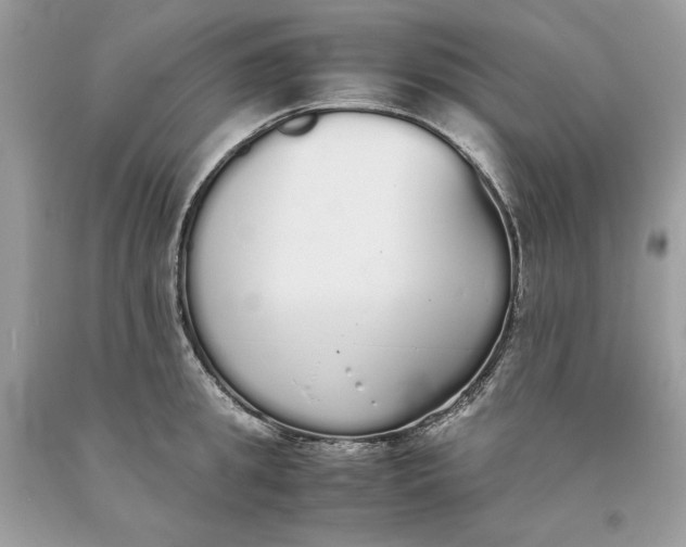 X0000093530949200710261248