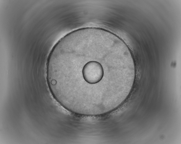 X0000093530950200710261248