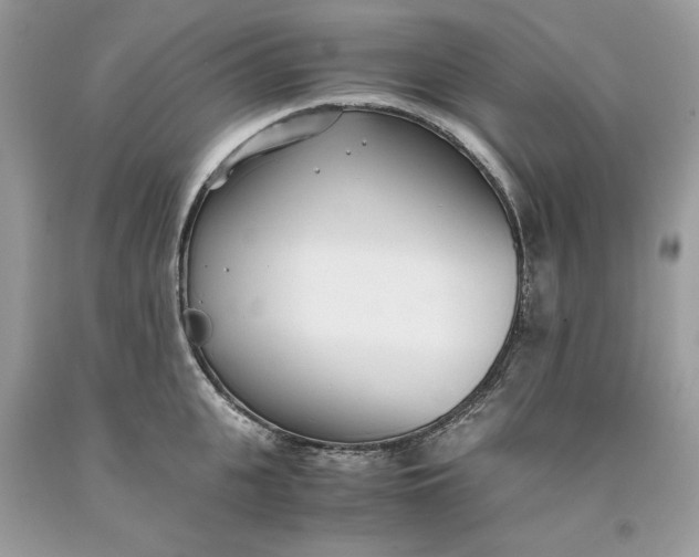 X0000093530951200710261248