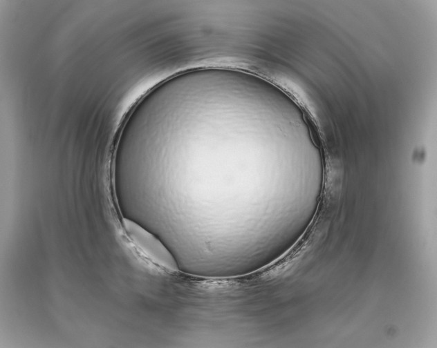 X0000093530952200710261248