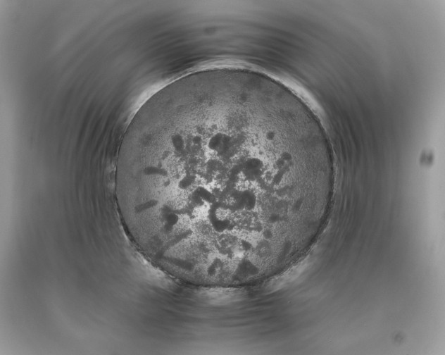 X0000093530953200710261248