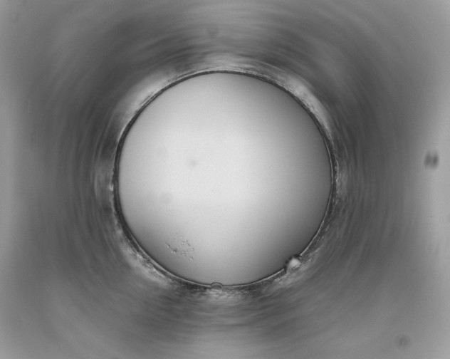 X0000093530954200710261248