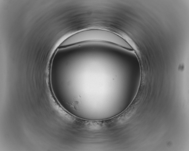 X0000093530955200710261248