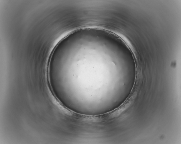 X0000093530957200710261248