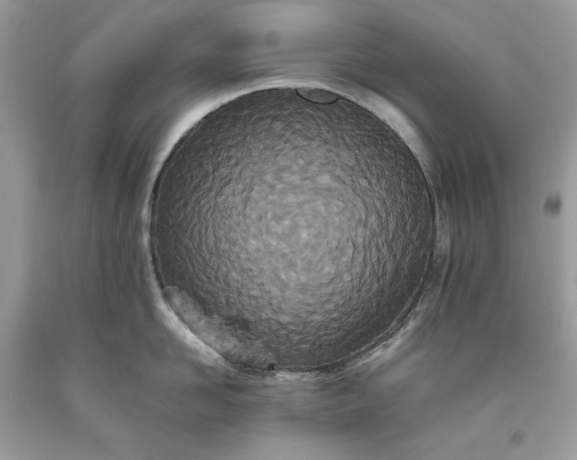 X0000093530958200710261248