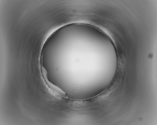 X0000093530959200710261248