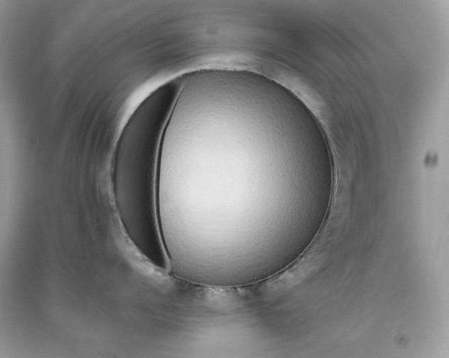 X0000093530960200710261248