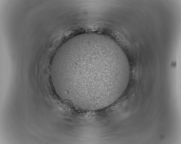 X0000093530961200710261248