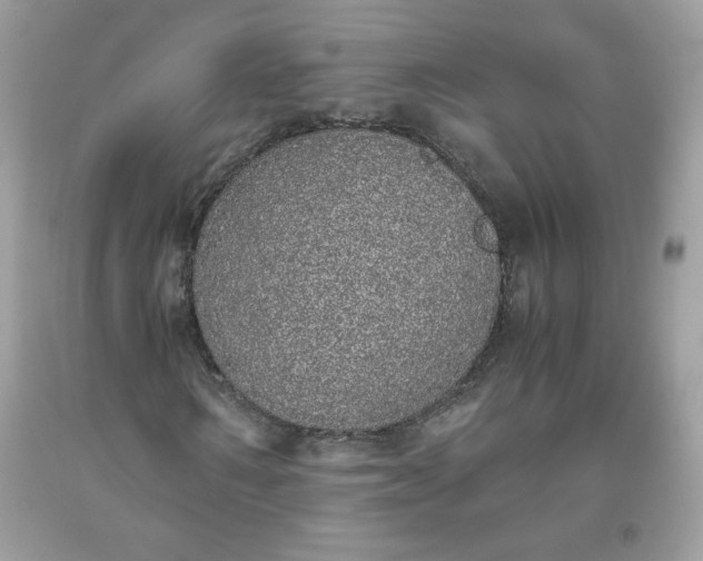 X0000093530962200710261248