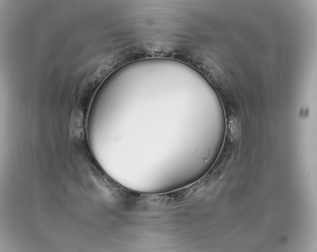 X0000093530963200710261248