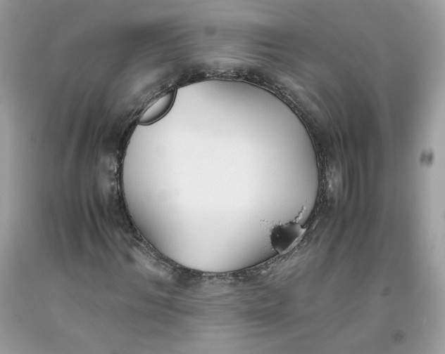 X0000093530964200710261248