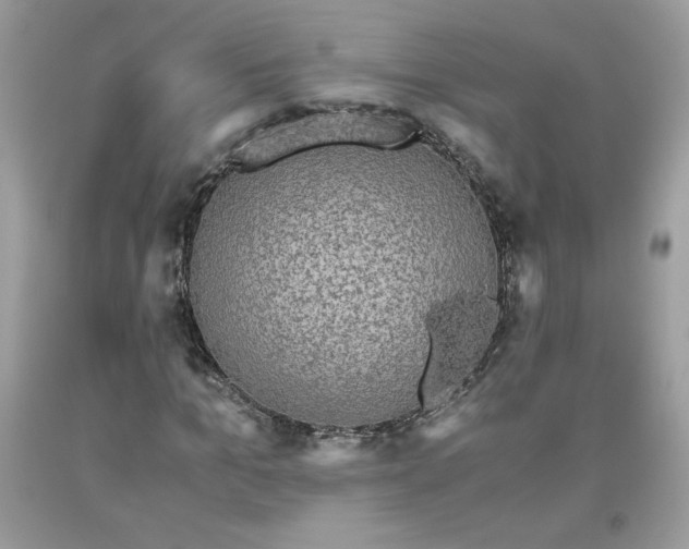 X0000093530965200710261247