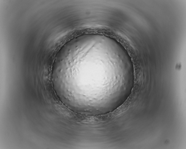 X0000093530966200710261247