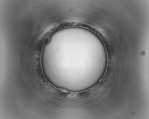 X0000093530967200710261247