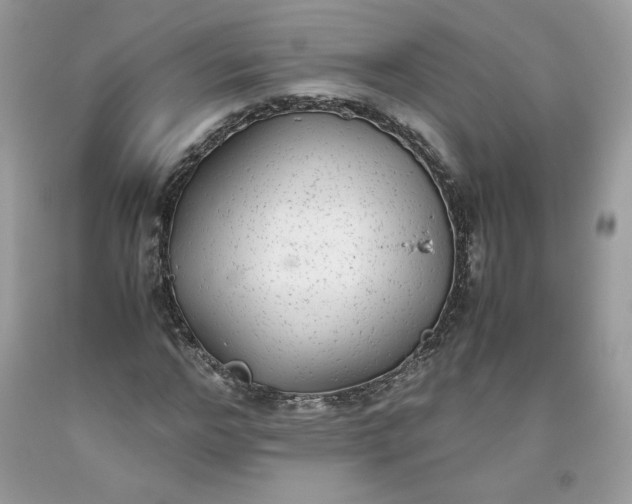 X0000093530968200710261247