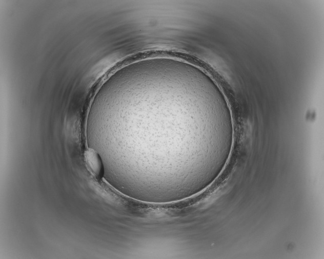 X0000093530969200710261247