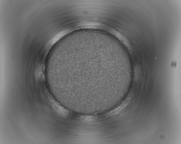 X0000093530970200710261247