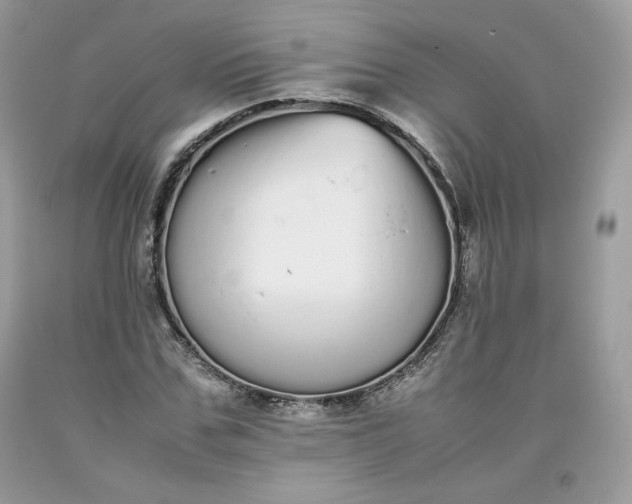 X0000093530971200710261247