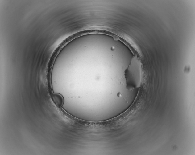 X0000093530972200710261247