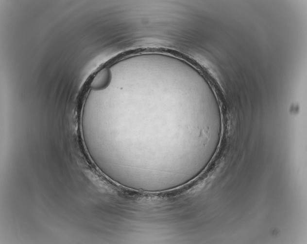 X0000093530973200710261247