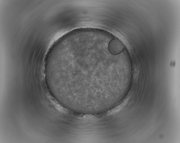 X0000093530974200710261247