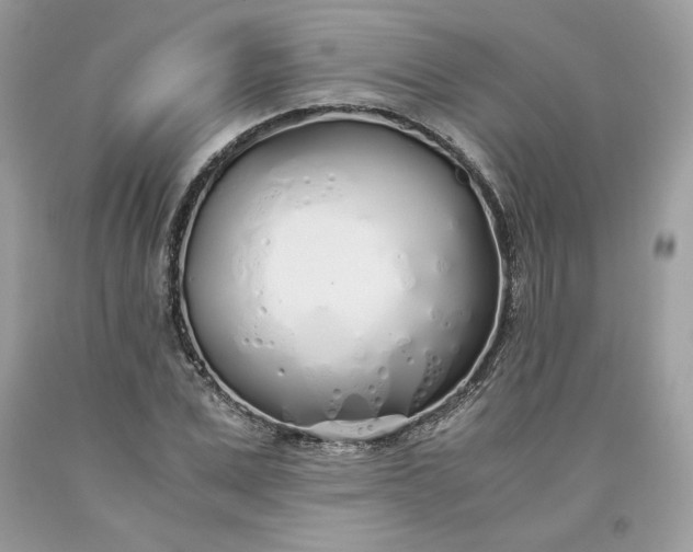 X0000093530975200710261247