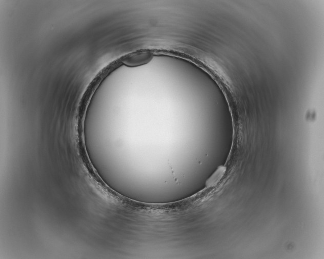 X0000093530976200710261247