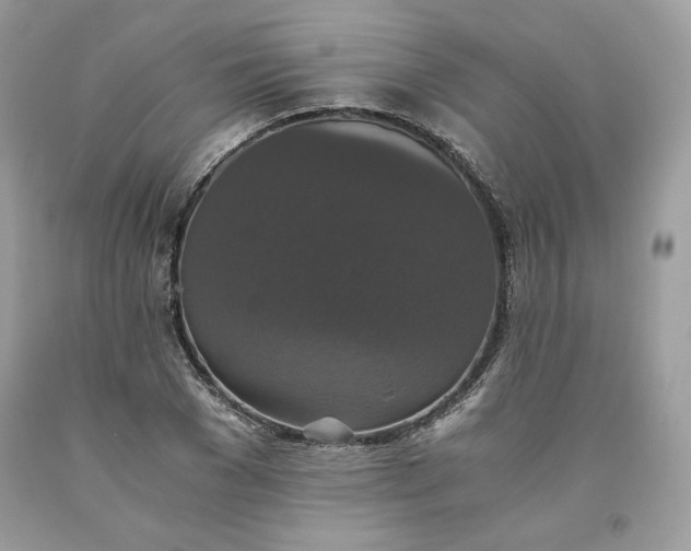 X0000093530977200710261247