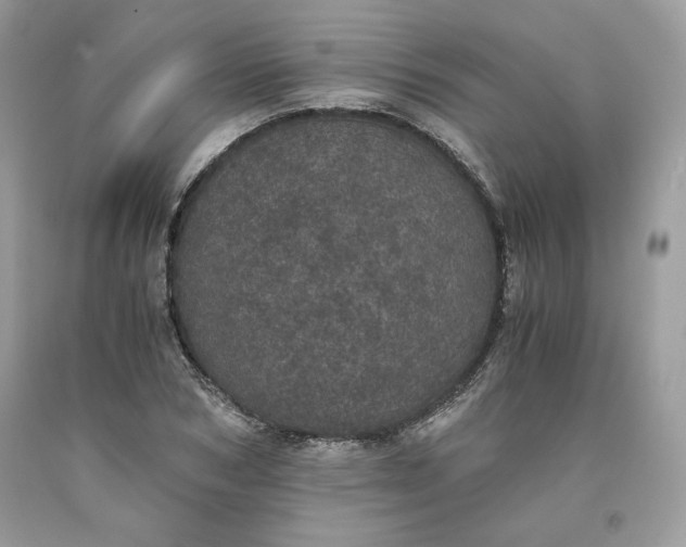 X0000093530978200710261247