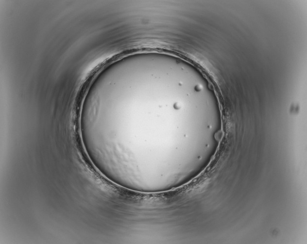 X0000093530979200710261247