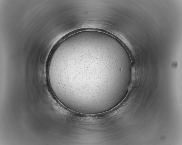 X0000093530980200710261247