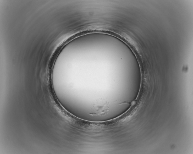 X0000093530981200710261247