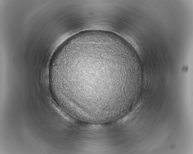 X0000093530982200710261247