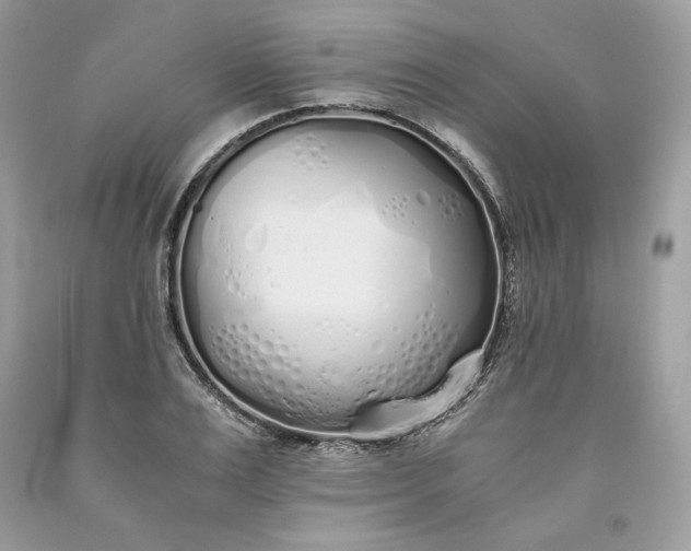 X0000093530983200710261247