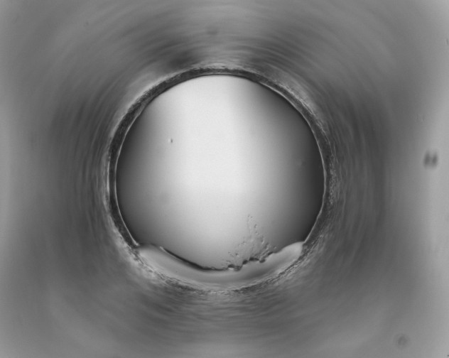 X0000093530984200710261247