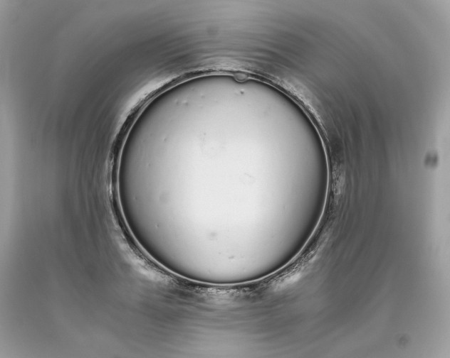 X0000093530987200710261247