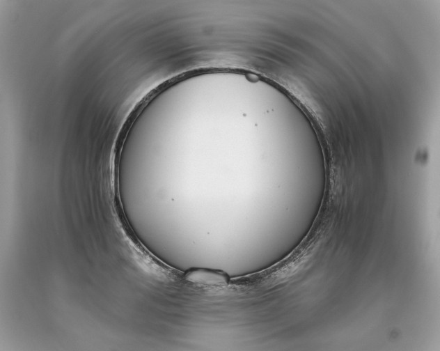 X0000093530988200710261247