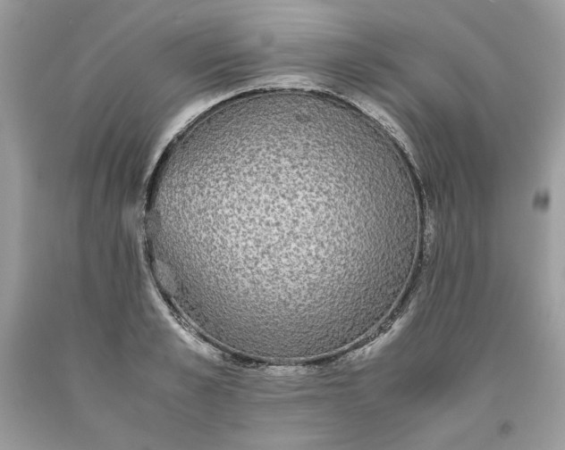 X0000093530989200710261247